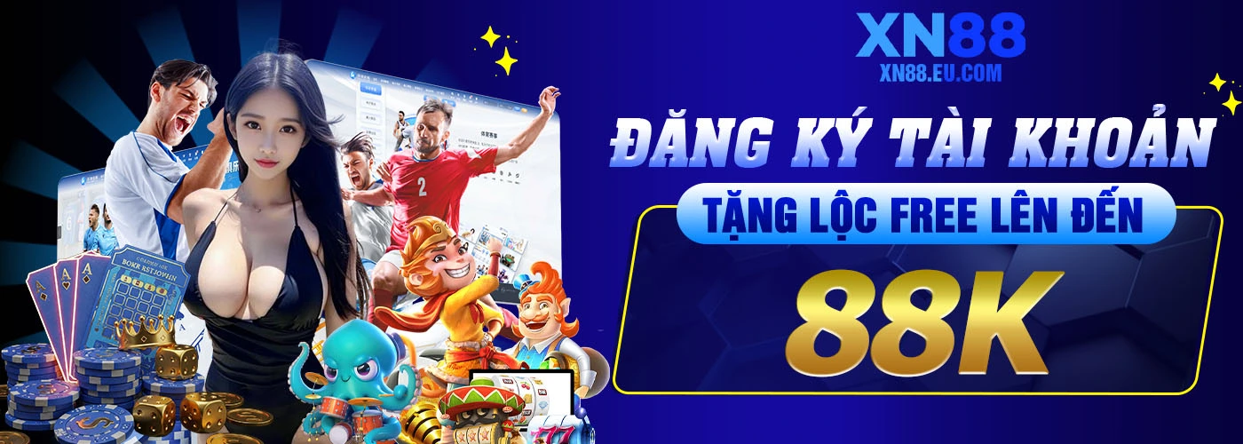 Banner XN88