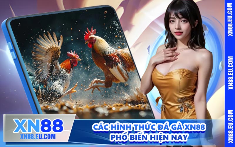 Các hình thức đá gà XN88 phổ biến hiện nay