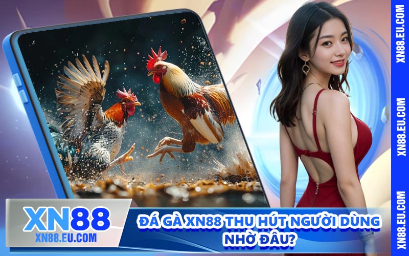 Đá gà XN88 thu hút người dùng nhờ đâu?